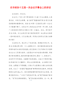 在市政协十五届一次会议开幕会上的讲话