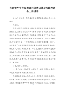 在市铸牢中华民族共同体意识基层实践推进会上的讲话