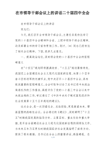 在市领导干部会议上的讲话二十届四中全会