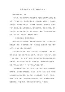 安全生产年度工作汇报发言范文(资料)