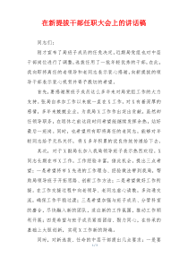 在新提拔干部任职大会上的讲话稿
