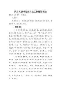 局党支部书记抓党建工作述职报告(资料)