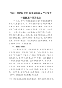 市审计局党组2025年落实全面从严治党主体责任工作情况报告(资料)