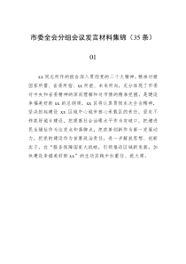 市委全会分组会议发言材料集锦35条