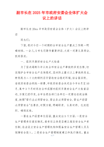 副市长在2025年市政府安委会全体扩大会议上的讲话
