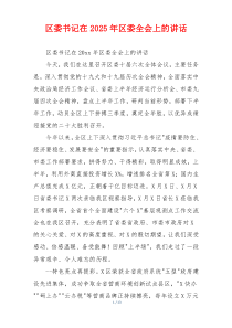 区委书记在2025年区委全会上的讲话