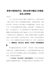 某审计局党组书记、局长在审计整改工作推进会议上的讲话(资料)