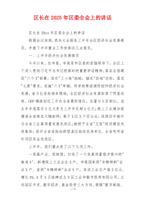 区长在2025年区委全会上的讲话