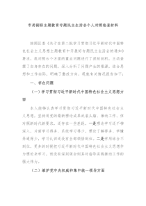 市局副职主题教育专题民主生活会个人对照检查材料