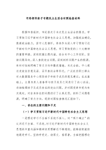 市局领导班子专题民主生活会对照检查材料