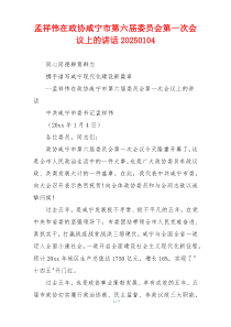 孟祥伟在政协咸宁市第六届委员会第一次会议上的讲话20250104