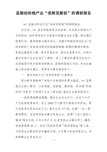 县推动传统产业“老树发新枝”的调研报告