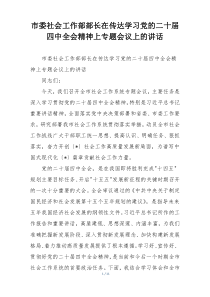 市委社会工作部部长在传达学习党的二十届四中全会精神上专题会议上的讲话