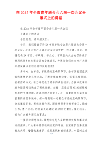 在2025年全市青年联合会六届一次会议开幕式上的讲话