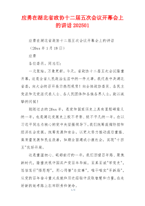 应勇在湖北省政协十二届五次会议开幕会上的讲话202501