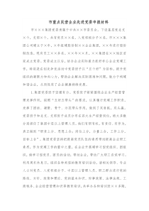 市重点民营企业先进党委申报材料