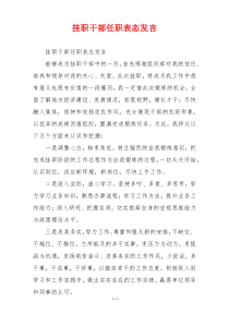 挂职干部任职表态发言