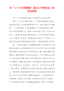 在“二十大安保维稳”重点工作推进会上的发言材料