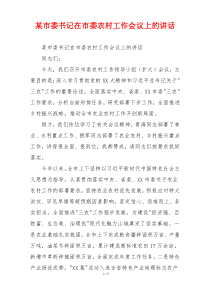 某市委书记在市委农村工作会议上的讲话