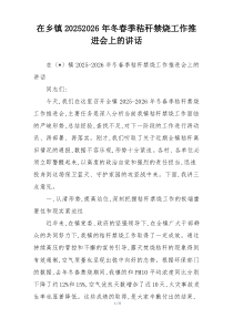 在乡镇20252026年冬春季秸秆禁烧工作推进会上的讲话