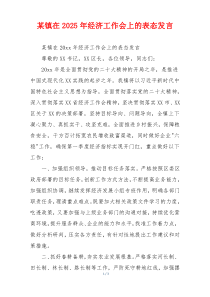 某镇在2025年经济工作会上的表态发言