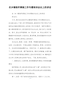 在乡镇秸秆禁烧工作专题培训会议上的讲话