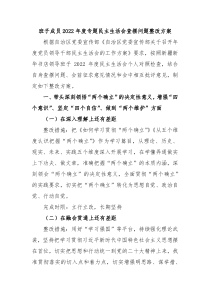 班子成员20XX年度专题民主生活会查摆问题整改方案