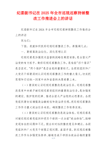 纪委副书记在2025年全市巡视巡察持续整改工作推进会上的讲话
