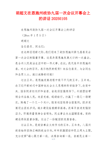 胡超文在恩施州政协九届一次会议开幕会上的讲话20250105