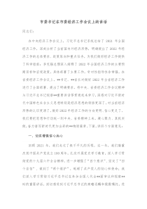 市委书记在市委经济工作会议上的讲话