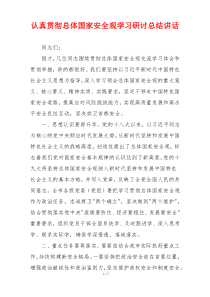 认真贯彻总体国家安全观学习研讨总结讲话