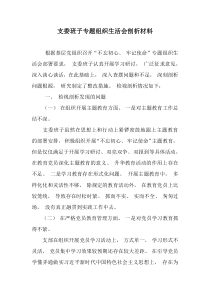 支委班子专题组织生活会剖析材料