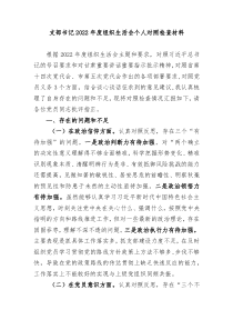 支部书记20XX年度组织生活会个人对照检查材料