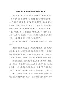 经验交流党建品牌矩阵赋能高质量发展