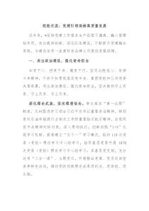 经验交流党建引领助推高质量发展