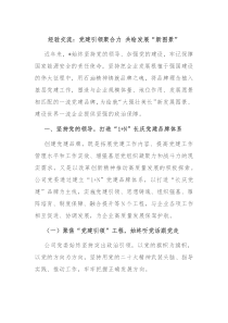 经验交流党建引领聚合力共绘发展新图景