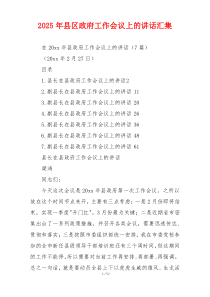2025年县区政府工作会议上的讲话汇集