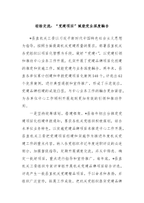 经验交流党建项目赋能党业深度融合