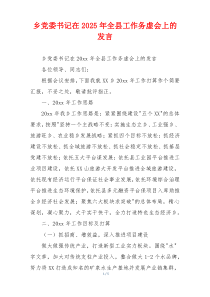 乡党委书记在2025年全县工作务虚会上的发言