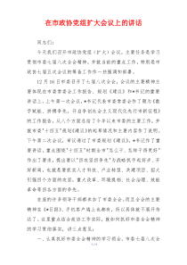 在市政协党组扩大会议上的讲话