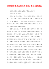 在市政协委员会第三次会议开幕会上的讲话