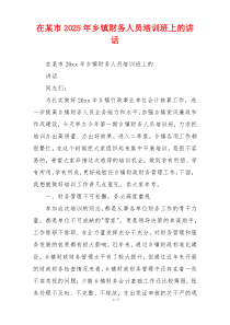 在某市2025年乡镇财务人员培训班上的讲话