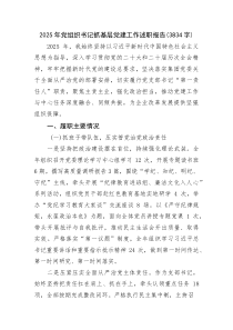 (整理)2025年党组织书记抓基层党建工作述职报告（3834字）