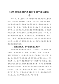 (整理)2025年区委书记抓基层党建工作述职报告