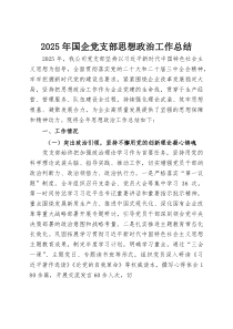 (整理)2025年国企党支部思想政治工作总结