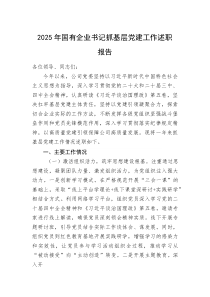 (整理)2025年国有企业书记抓基层党建工作述职报告