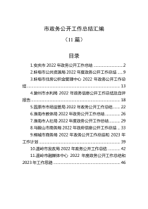 11篇20XX年市政务公开工作总结汇编
