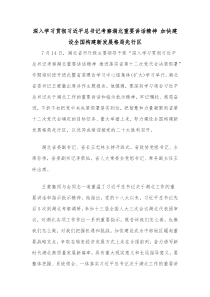 深入学习贯彻习近平总书记考察湖北重要讲话精神加快建设全国构建新发展格局先行区