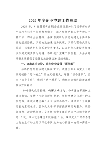 (整理)2025年度企业党建工作总结