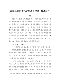 (整理)2025年度区委书记抓基层党建工作述职报告